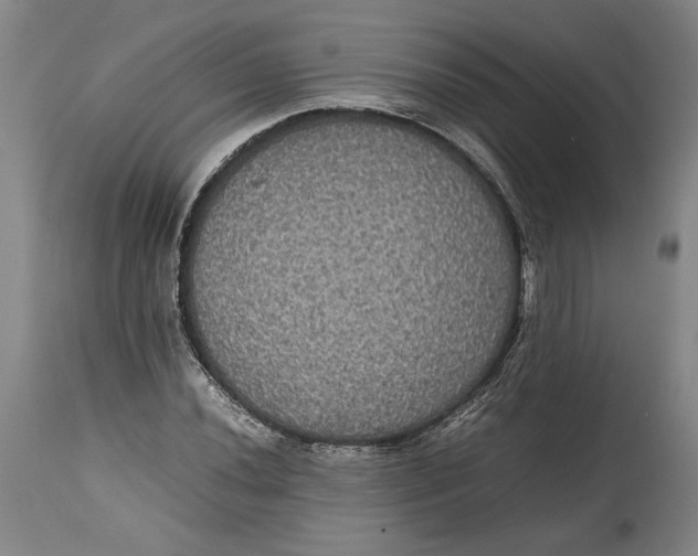 X0000114621020200911101210