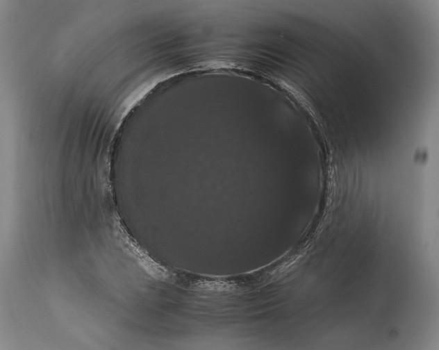 X0000114621023200911101210