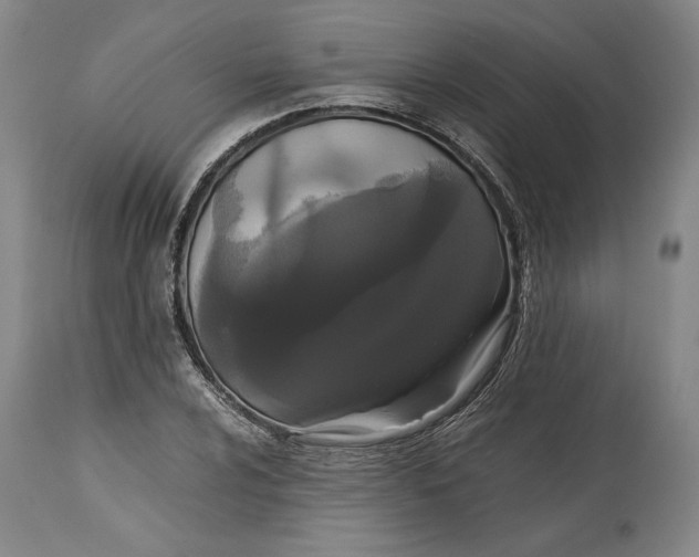 X0000114621024200911101210
