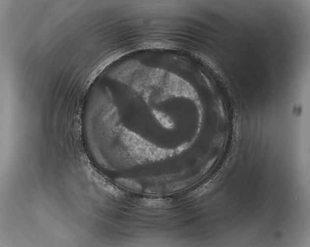 X0000114621025200911101210