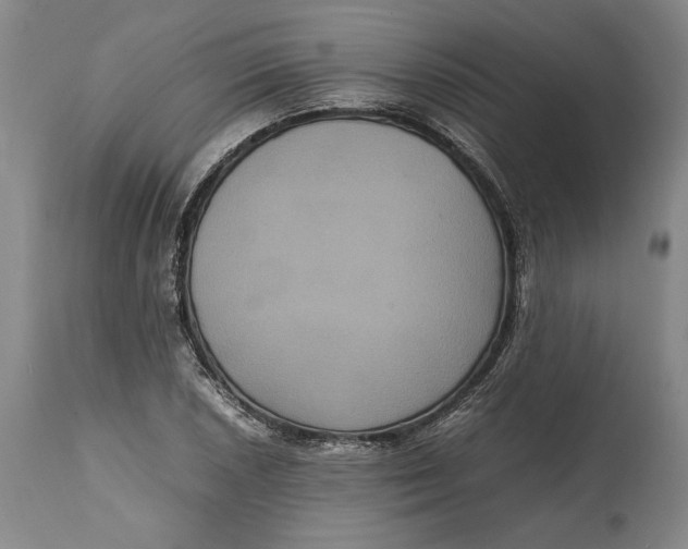X0000114621026200911101210