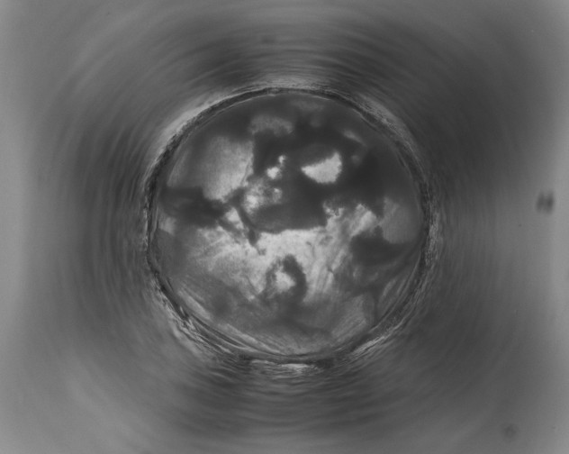 X0000114621027200911101210