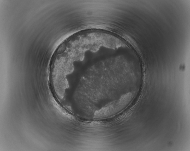 X0000114621028200911101210