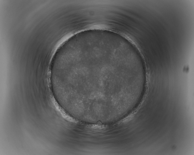 X0000114621029200911101210