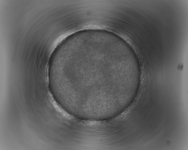 X0000114621030200911101210