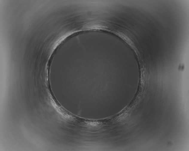 X0000114621031200911101210