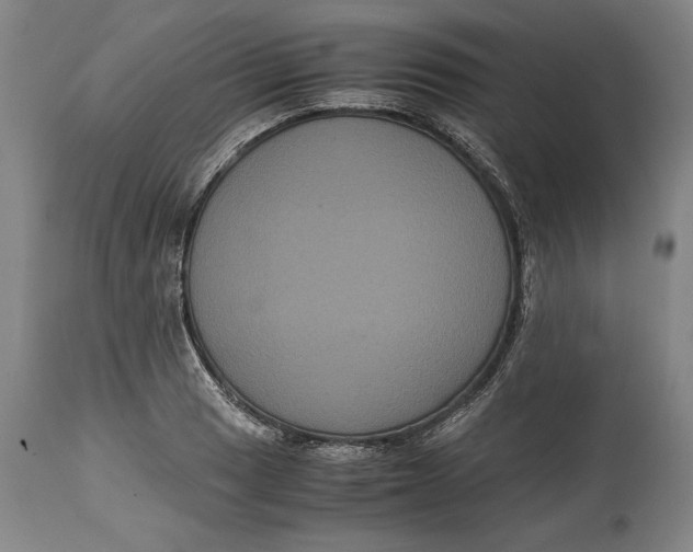 X0000114621033200911101210