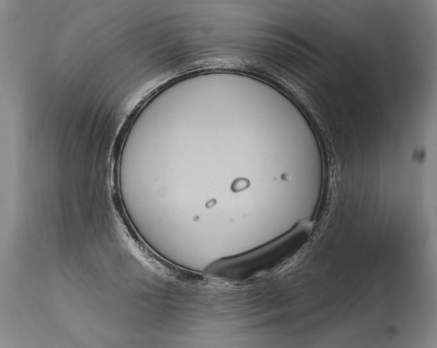 X0000114621034200911101210