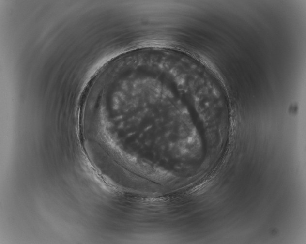 X0000114621035200911101210