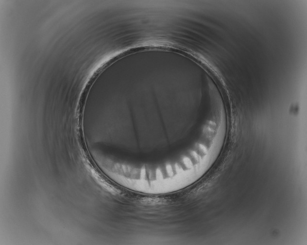 X0000114621037200911101210