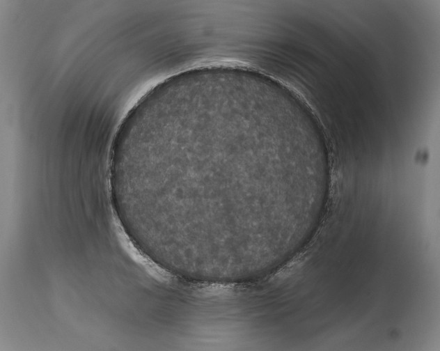 X0000114621038200911101210
