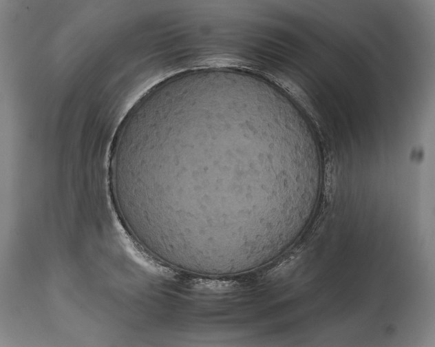 X0000114621039200911101210