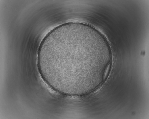 X0000114621040200911101210