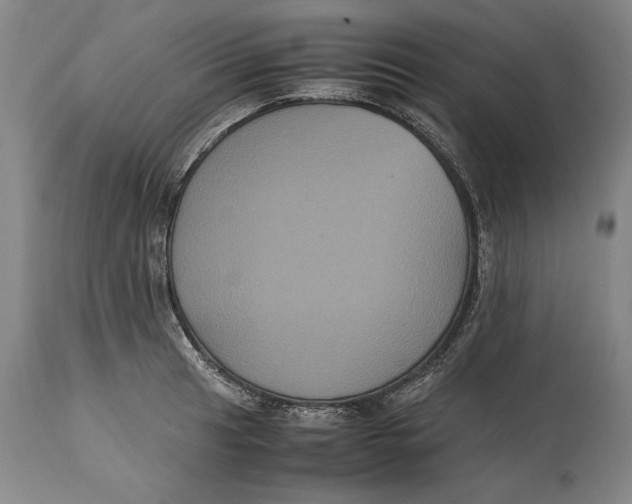 X0000114621041200911101210