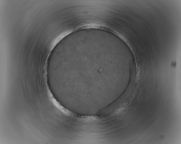 X0000114621042200911101210