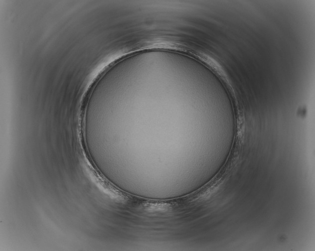 X0000114621043200911101210