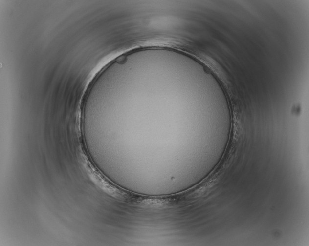 X0000114621044200911101210