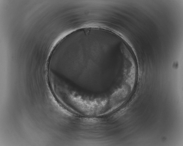 X0000114621045200911101210