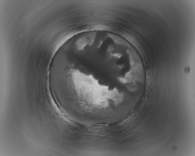 X0000114621047200911101210
