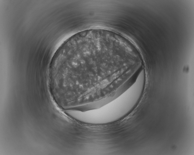 X0000114621048200911101210
