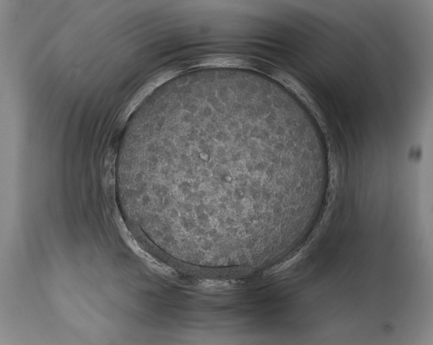 X0000114621049200911101210