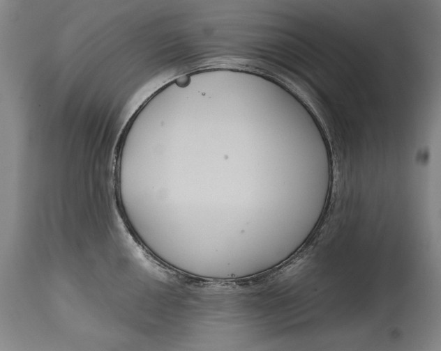 X0000114621050200911101210