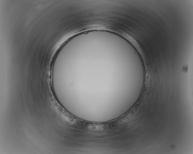 X0000114621051200911101210