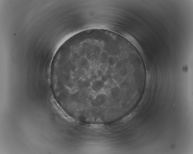 X0000114621052200911101210