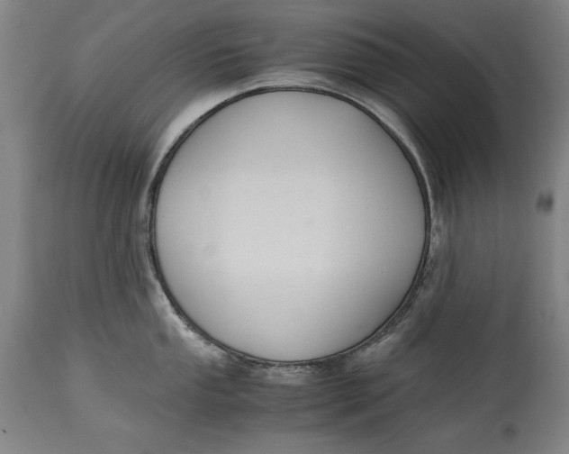 X0000114621053200911101210