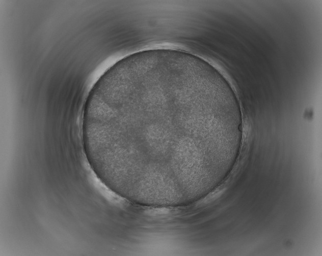X0000114621054200911101210