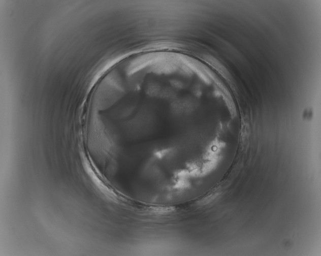 X0000114621055200911101210