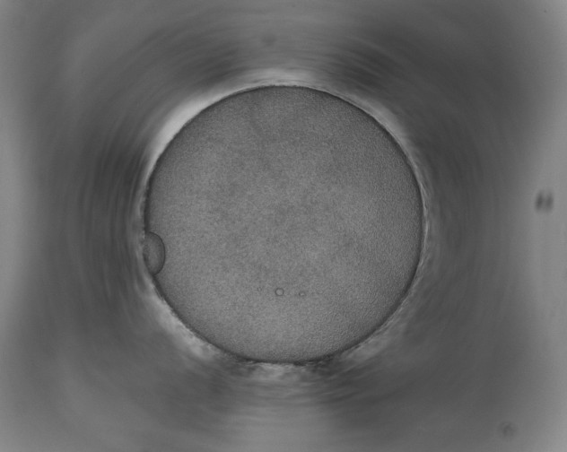 X0000114621056200911101210