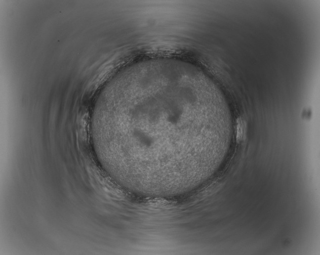 X0000114621059200911101209