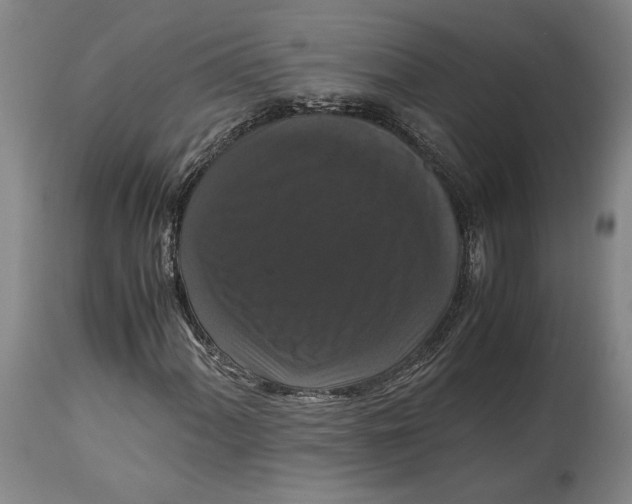 X0000114621060200911101209