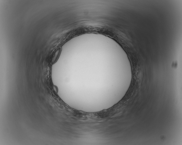 X0000114621061200911101209
