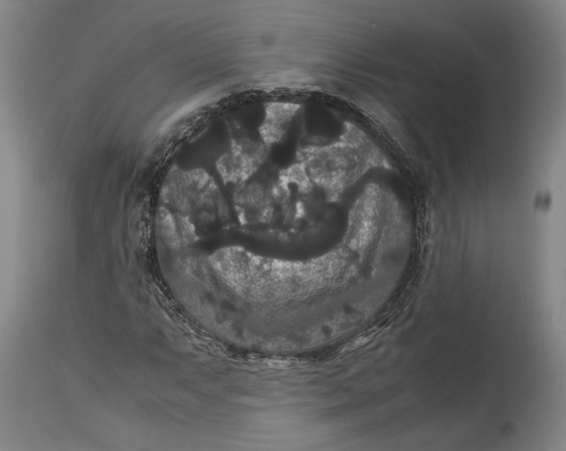 X0000114621063200911101209