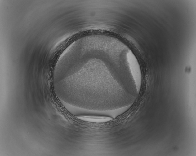 X0000114621064200911101209