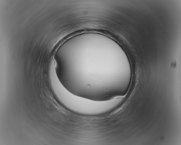 X0000114621065200911101209