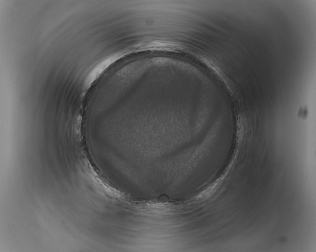 X0000114621066200911101209
