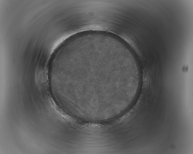 X0000114621070200911101209