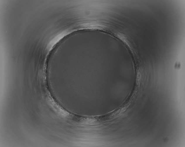 X0000114621071200911101209