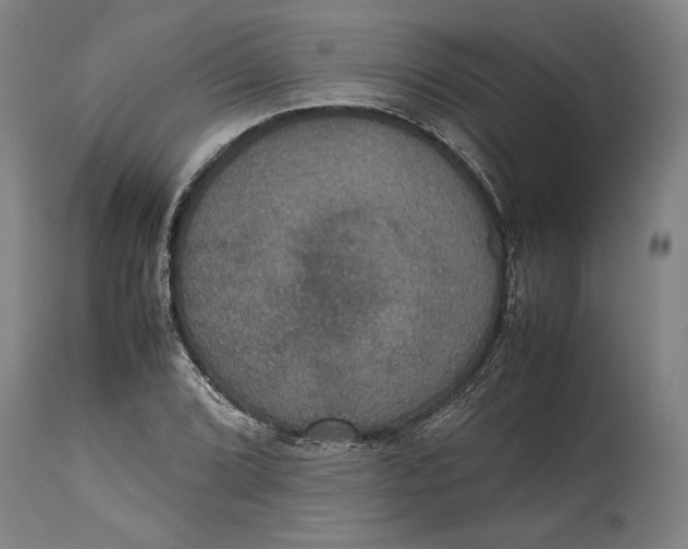 X0000114621072200911101209
