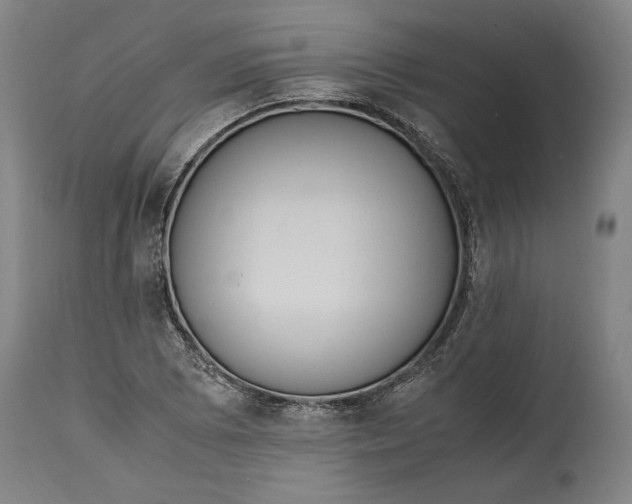 X0000114621073200911101209