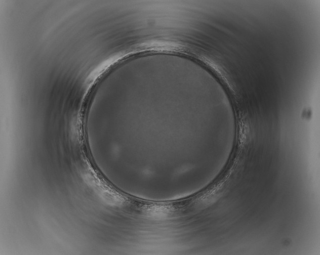 X0000114621074200911101209
