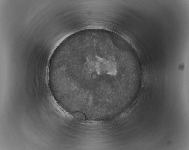 X0000114621076200911101209