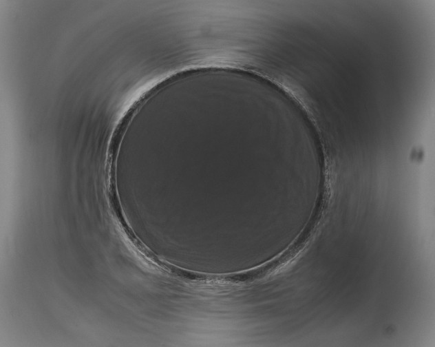 X0000114621077200911101209