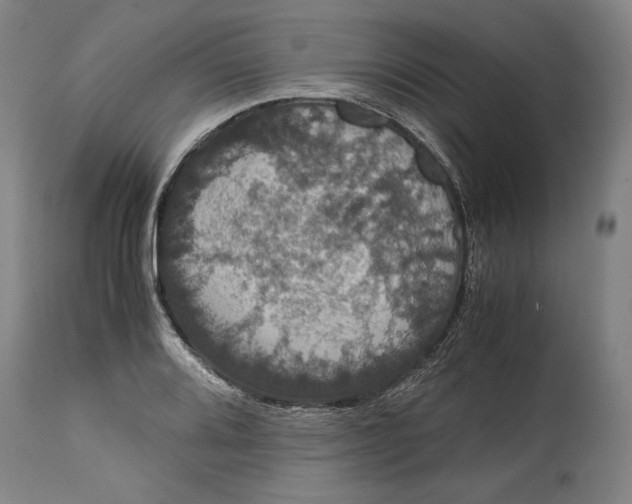 X0000114621080200911101209