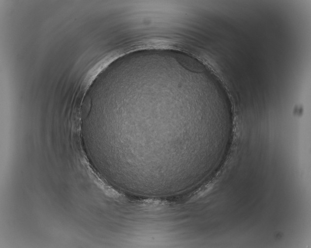X0000114621081200911101209
