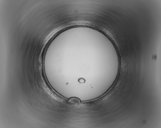 X0000114621082200911101209