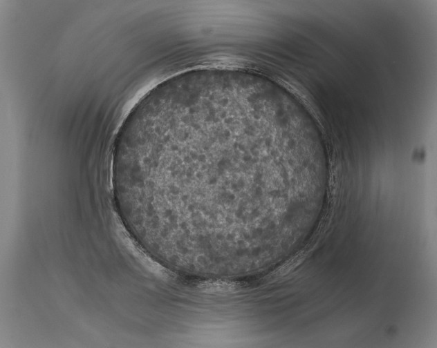 X0000114621083200911101209
